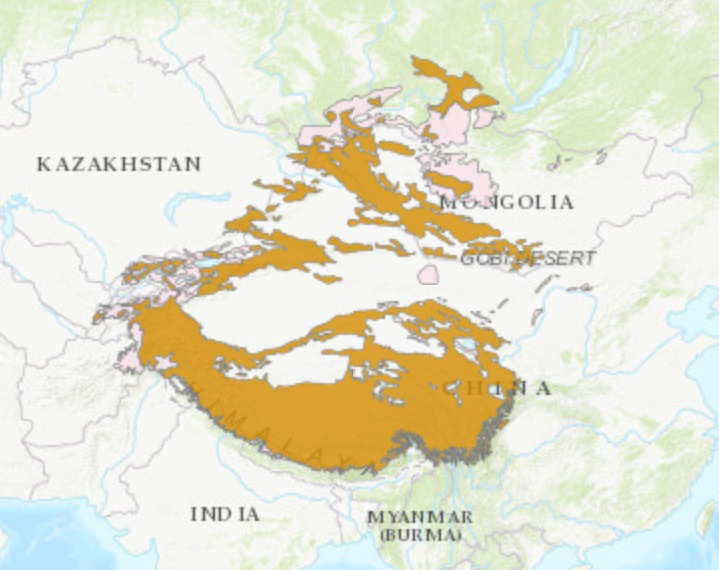 Distribution of Snow Leopard