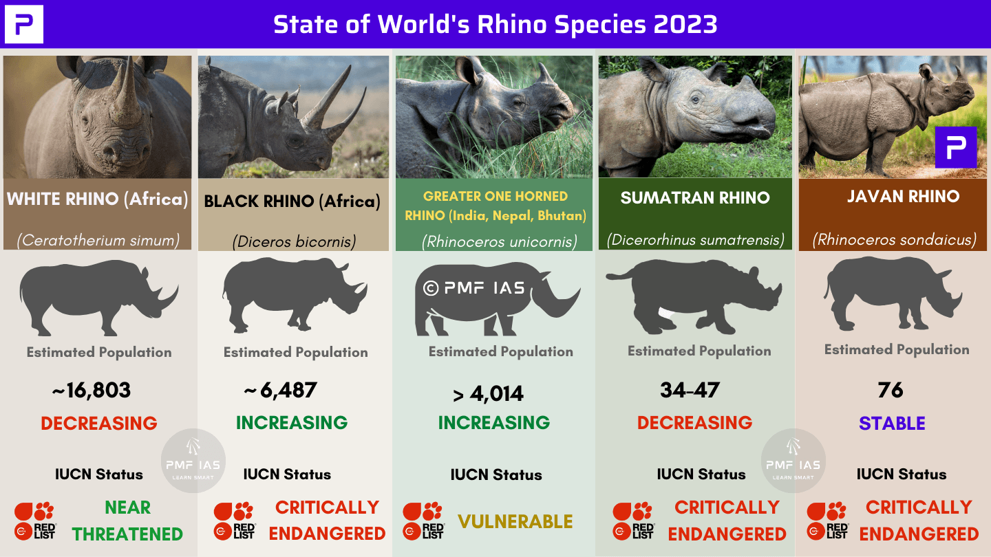 State of the Rhino ()