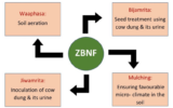 Components of Zero Budget Natural Farming