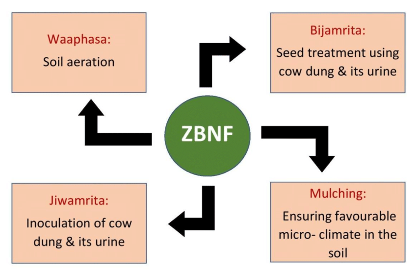 Components of Zero Budget Natural Farming