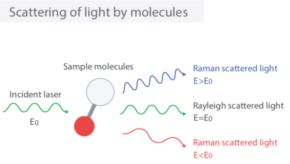 A diagram of light by molecules
Description automatically generated