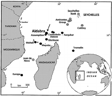 Location of Aldabra Atoll (arrow) in the western Indian Ocean relative... | Download Scientific Diagram