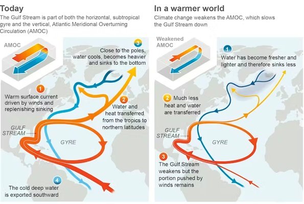 impact of climate change on Atlantic Meridional Overturning Circulation