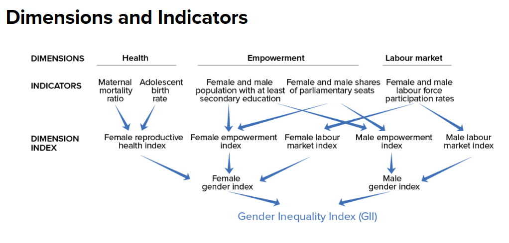 Gender Inequality Index