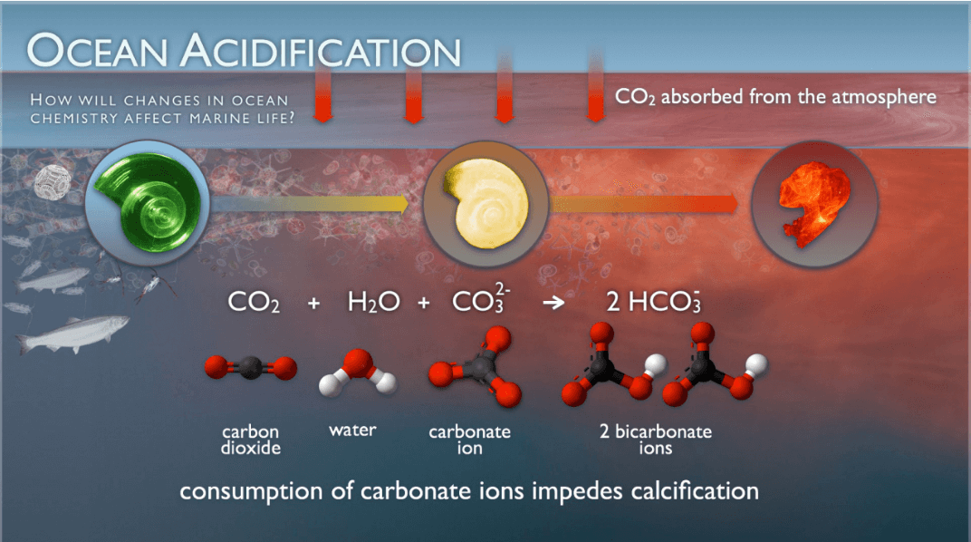 Ocean Acidification - PMF IAS