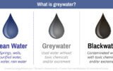 Sustainable Agriculture: Greywater Crops 101 | ABQ Stew