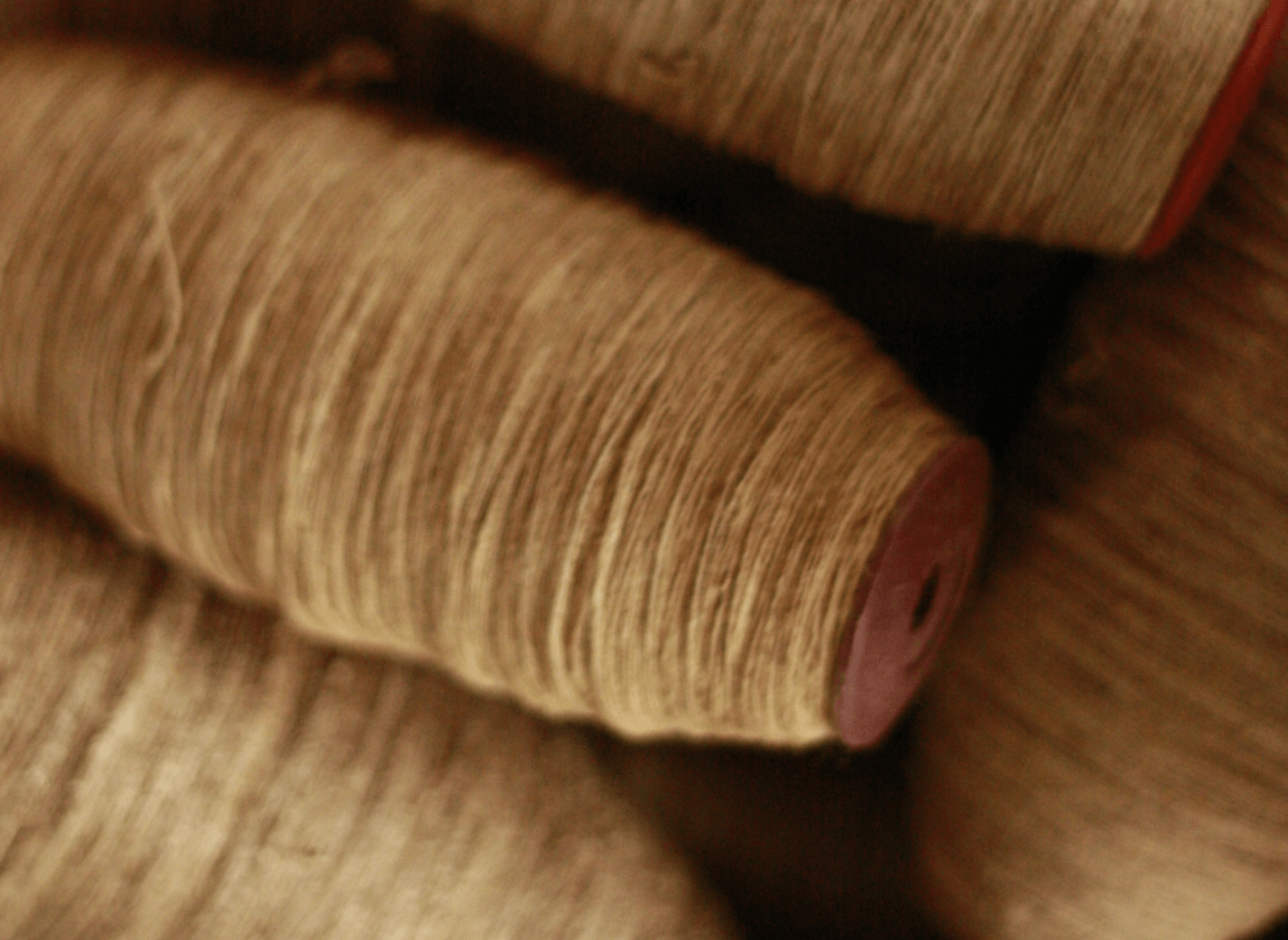 Close-up of a group of yarn
Description automatically generated
