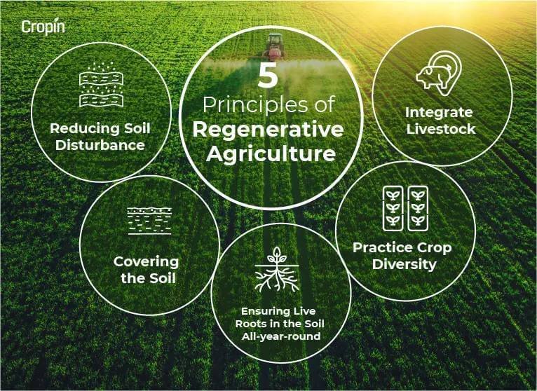 Regenerative Agriculture - PMF IAS