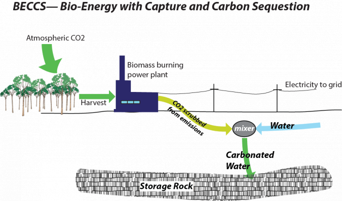 Bioenergy with Carbon Capture and Storage (BECCS) - PMF IAS