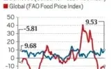 food inflation domestic global