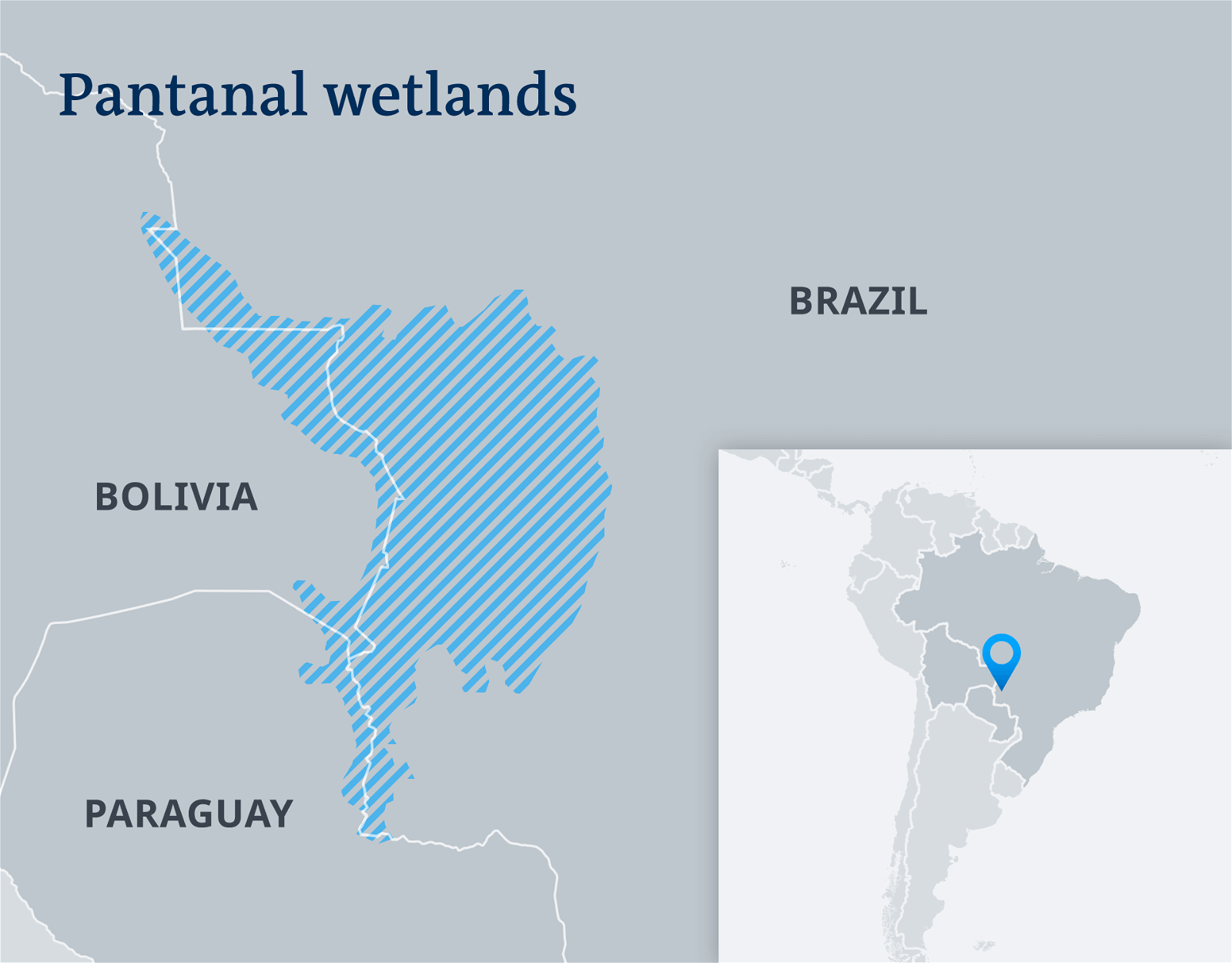 Pantanal Wetland- PMF IAS
