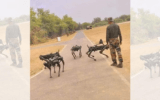 A person walking with robots on a road
Description automatically generated