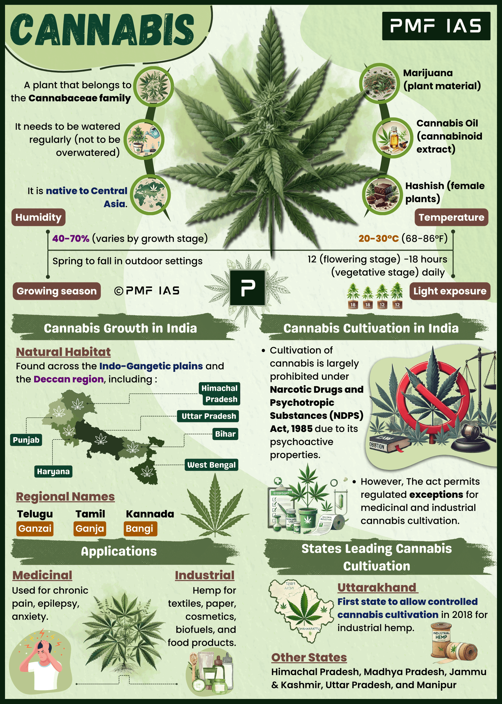 Cannabis