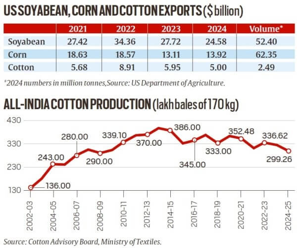 Cotton Production 