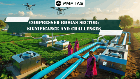 Compressed Biogas Sector Significance and Challenges